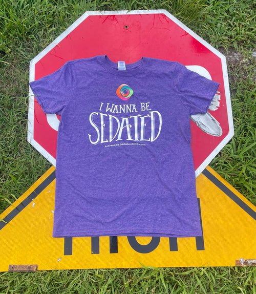 "I wanna be sedated" Tee